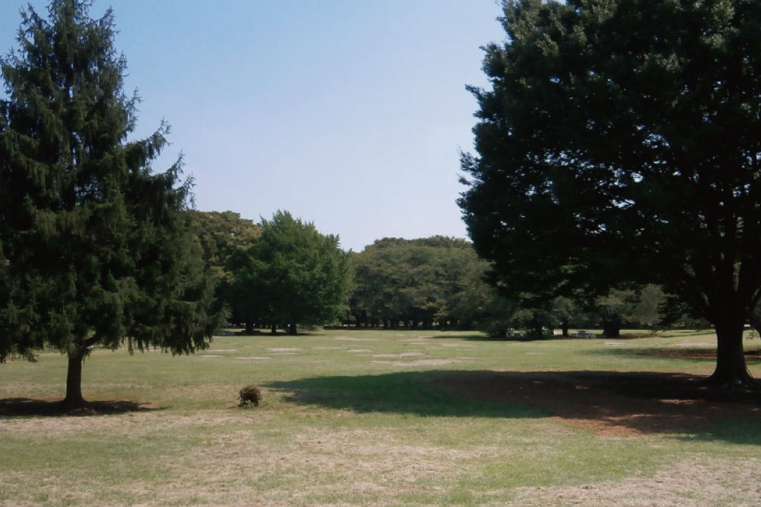 光が丘公園