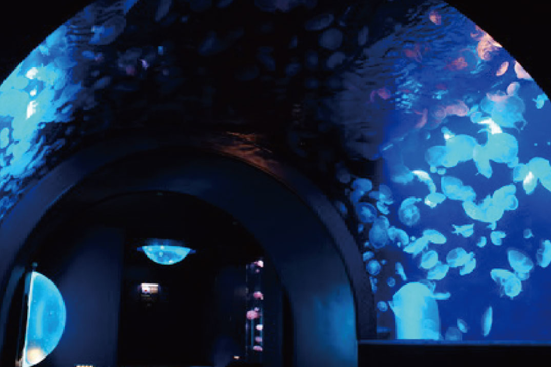 サンシャイン水族館