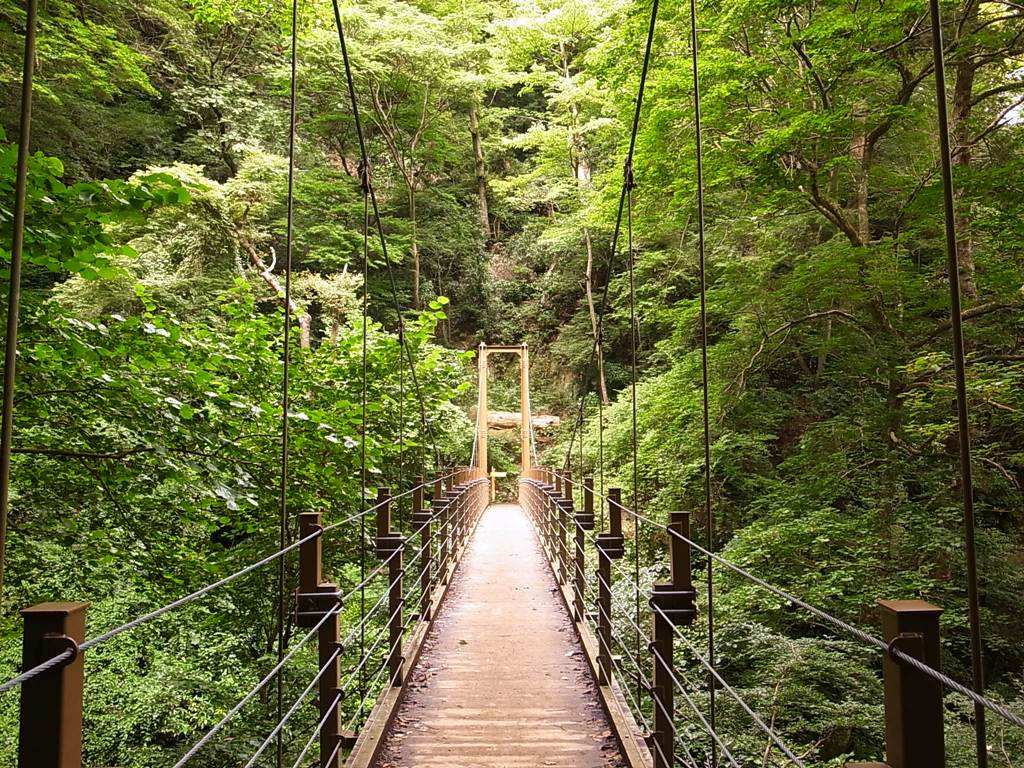 橋