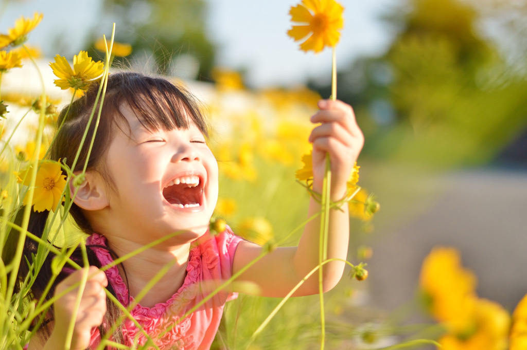 子供と一緒に楽しめる撮影スポット《5選》