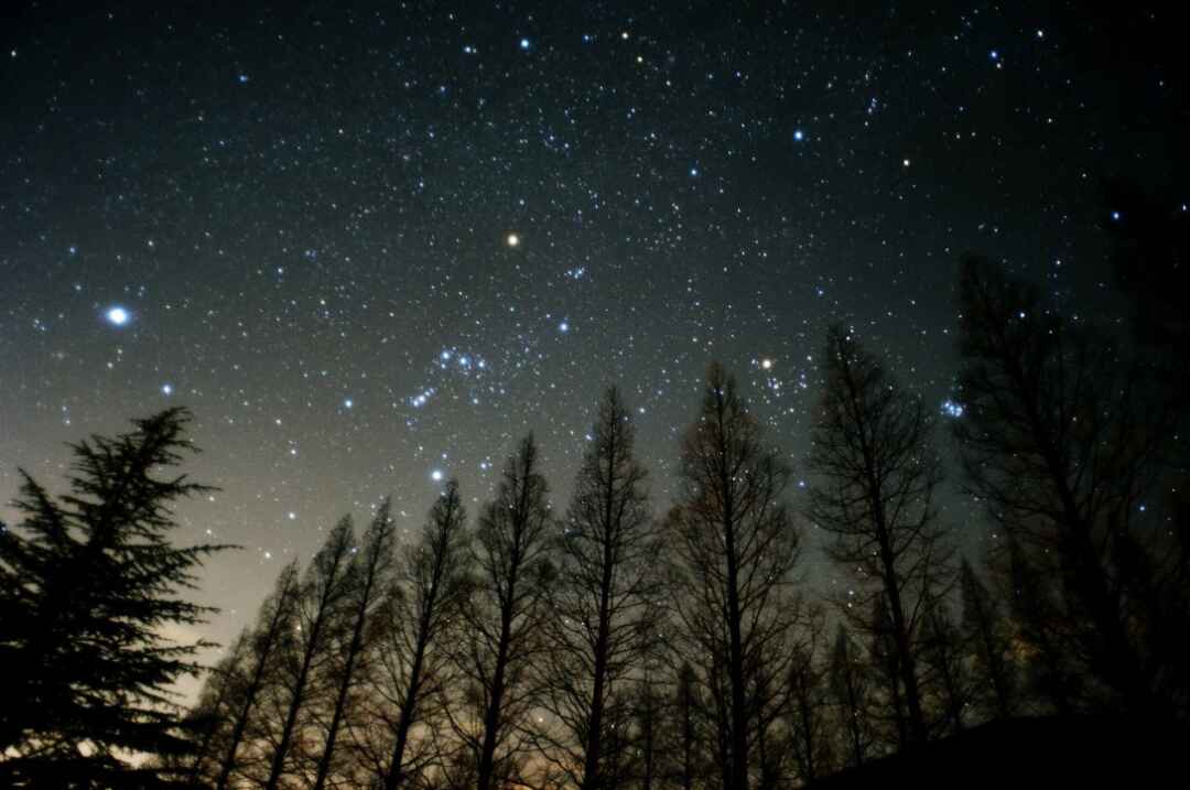 滋賀県　メタセコイア並木の星空