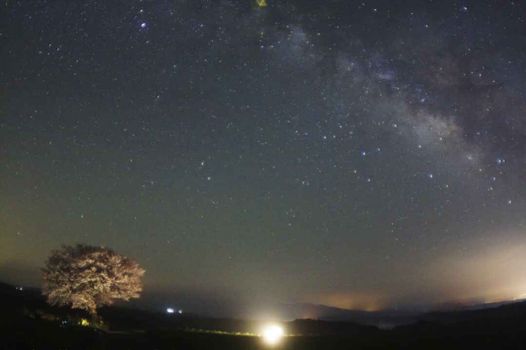 熊本県　前原一本桜の星空
