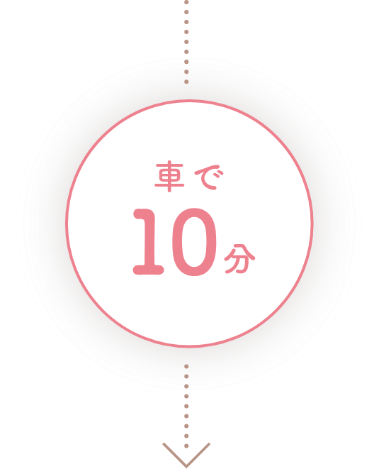 車で10分