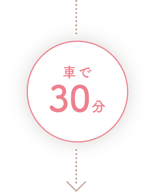 車で30分