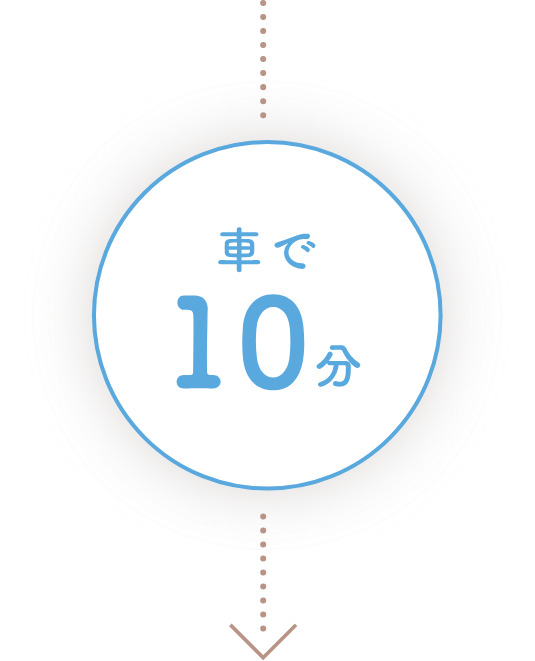 車で10分