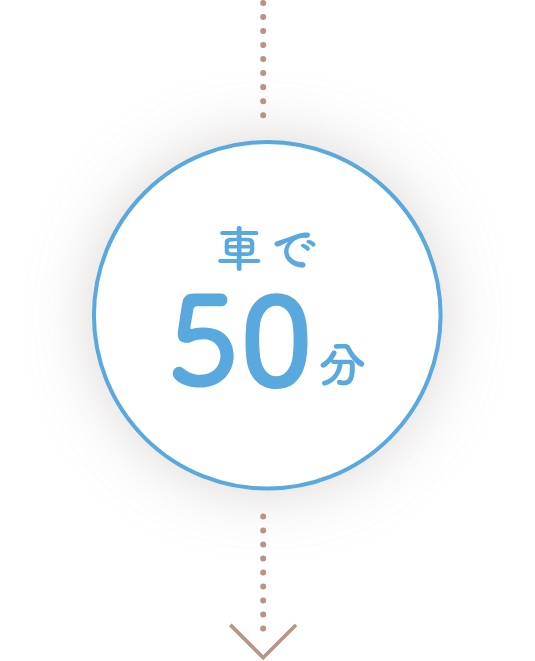 車で50分