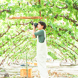 桃茂実苑 観光農園