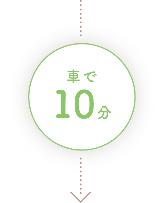 車で10分