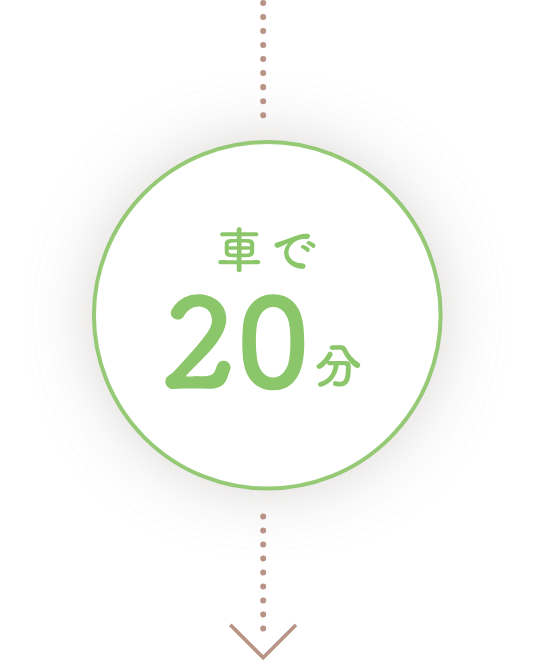 車で20分