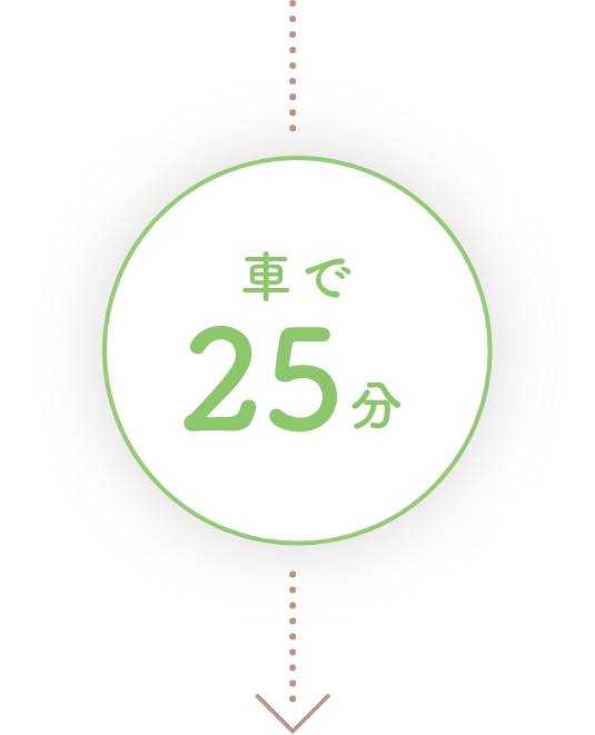 車で25分