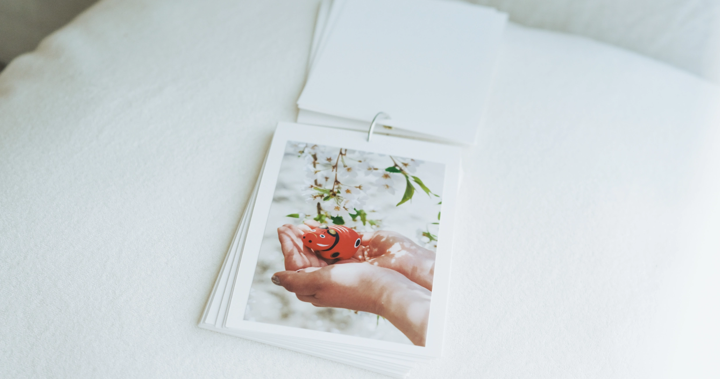 日めくり風アルバム写真