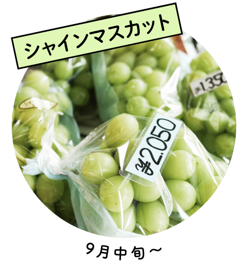 シャインマスカット
