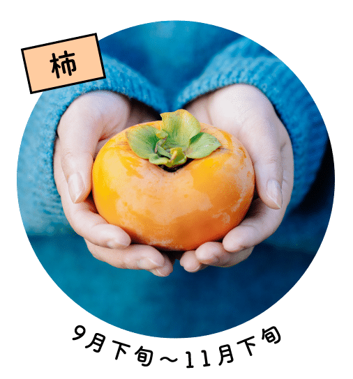 柿