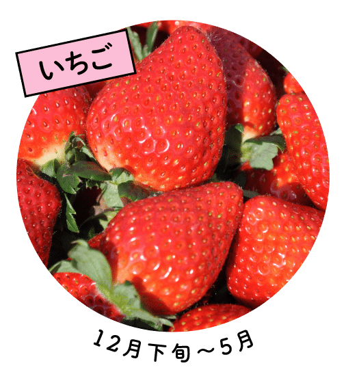 いちご