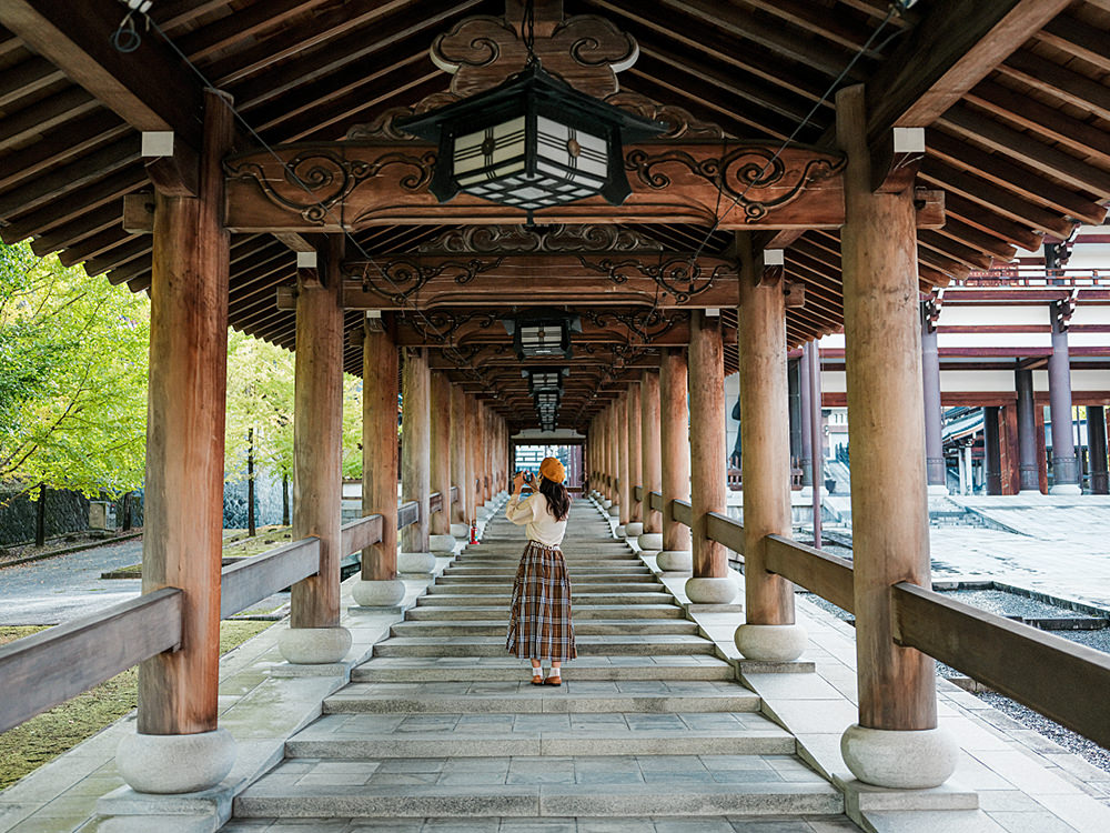 清大寺  越前大仏 写真