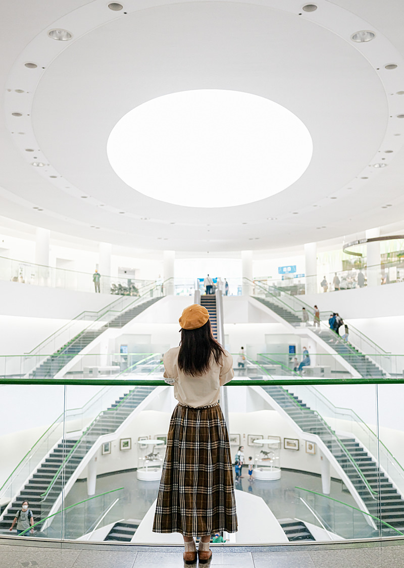 恐竜博物館 写真