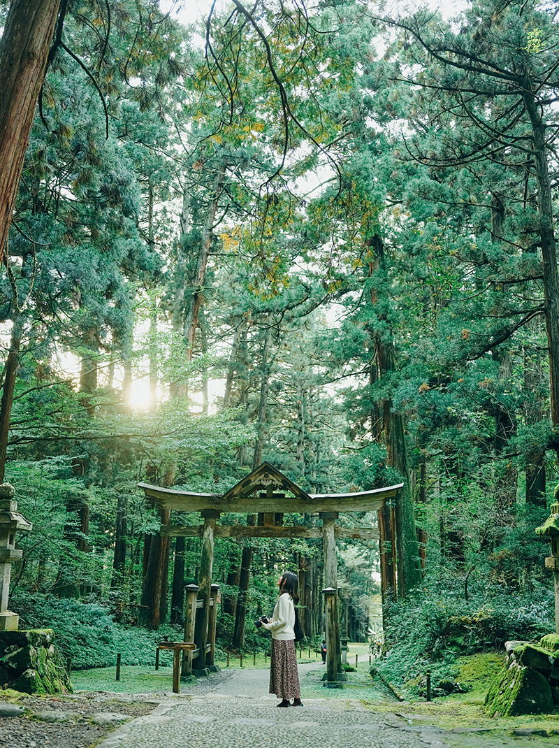 平泉寺白山神社 写真