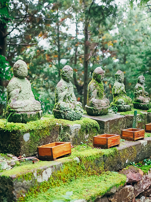 若狭瓜割名水公園瓜割の滝 写真