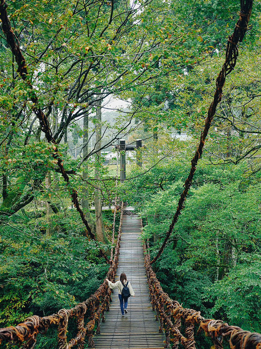 かずら橋 写真