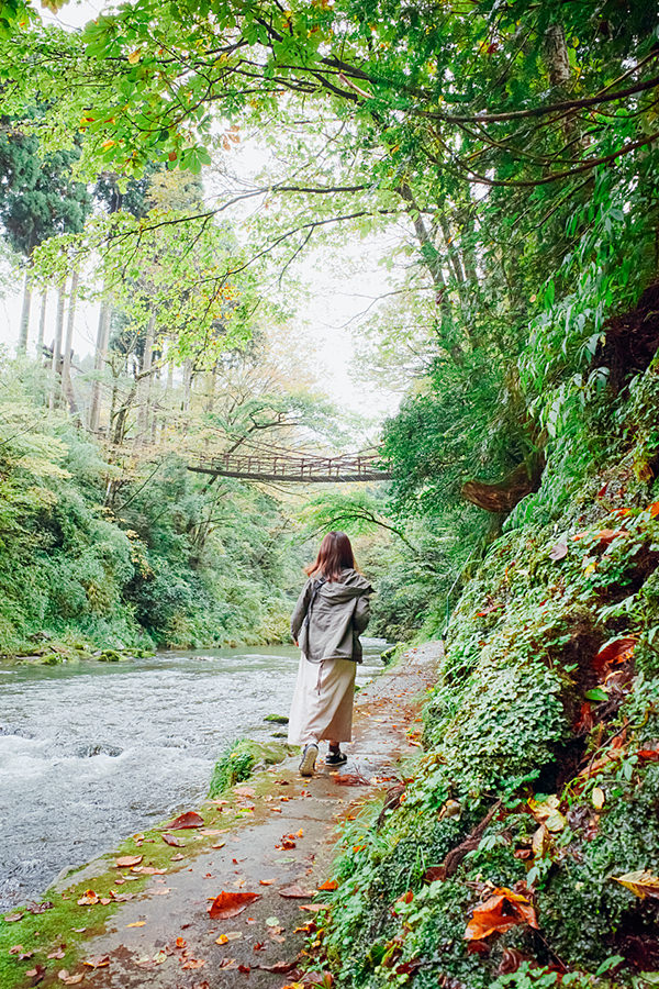 かずら橋 写真