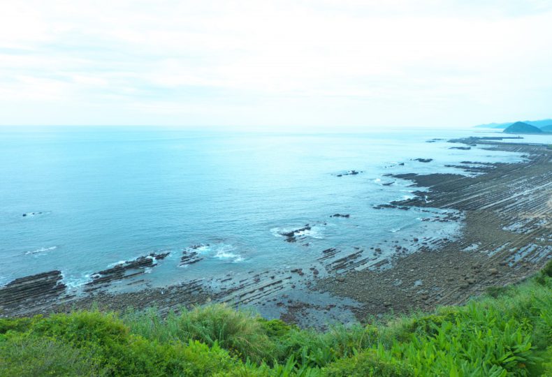 宮崎県 南国な雰囲気いっぱいの 日南 青島 Travel 宮崎県 南国な雰囲気いっぱいの 日南 青島 Travel