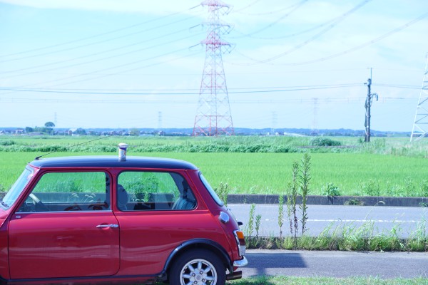 DSC05594