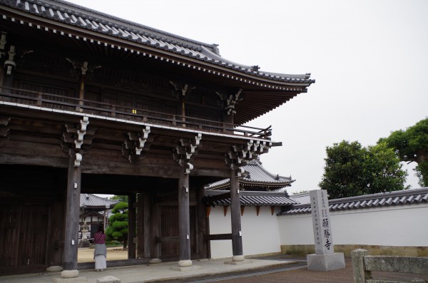 PENTAX K-50_20151010_141301