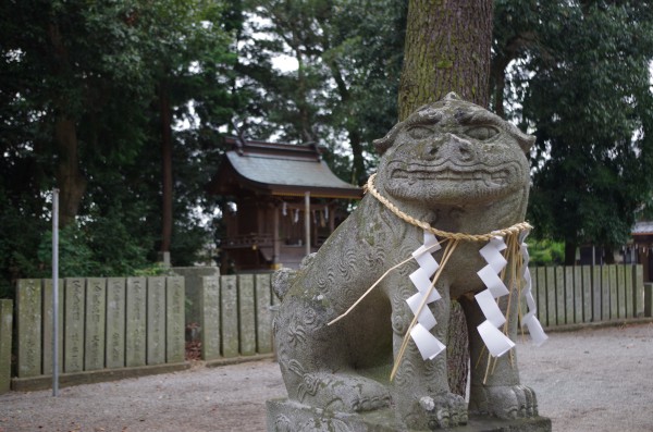 PENTAX K-50_20151010_142724
