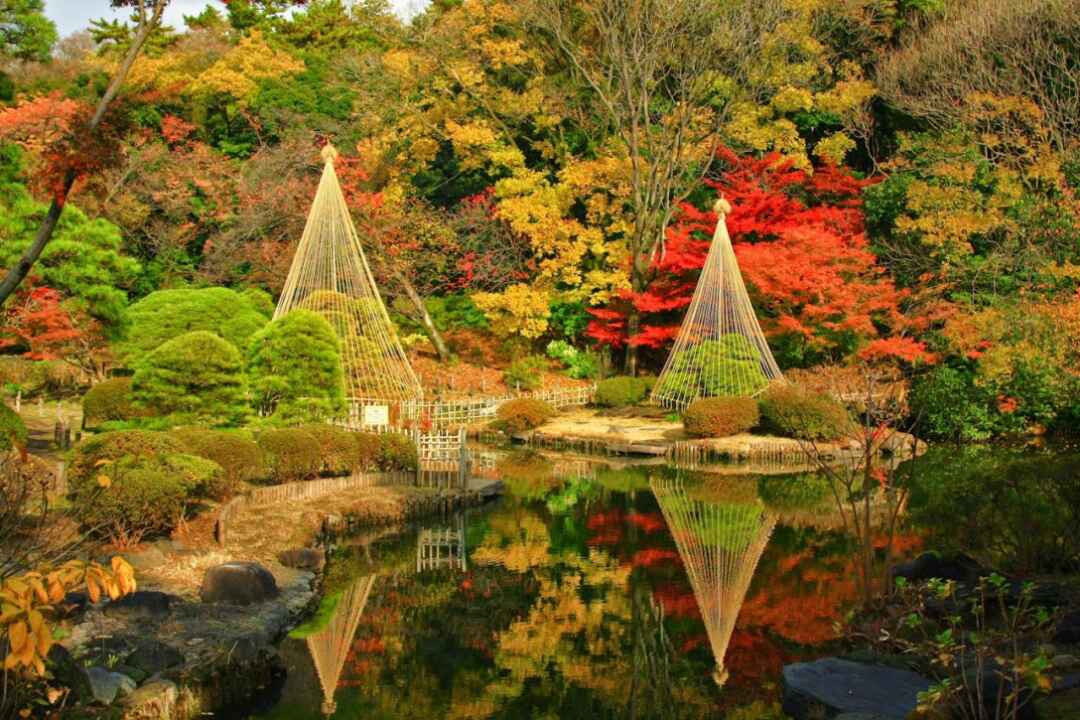 新江戸川公園の紅葉