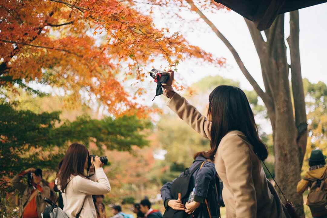 昭和記念公園と江戸東京たてもの園で秋の紅葉撮影会に行ってきました♪