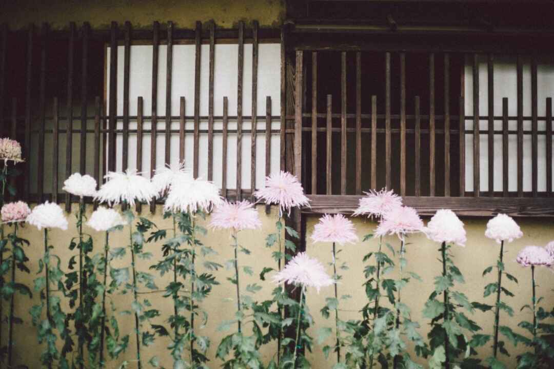 【レトロ写真】昔の街並がそのままに！江戸東京たてもの園。