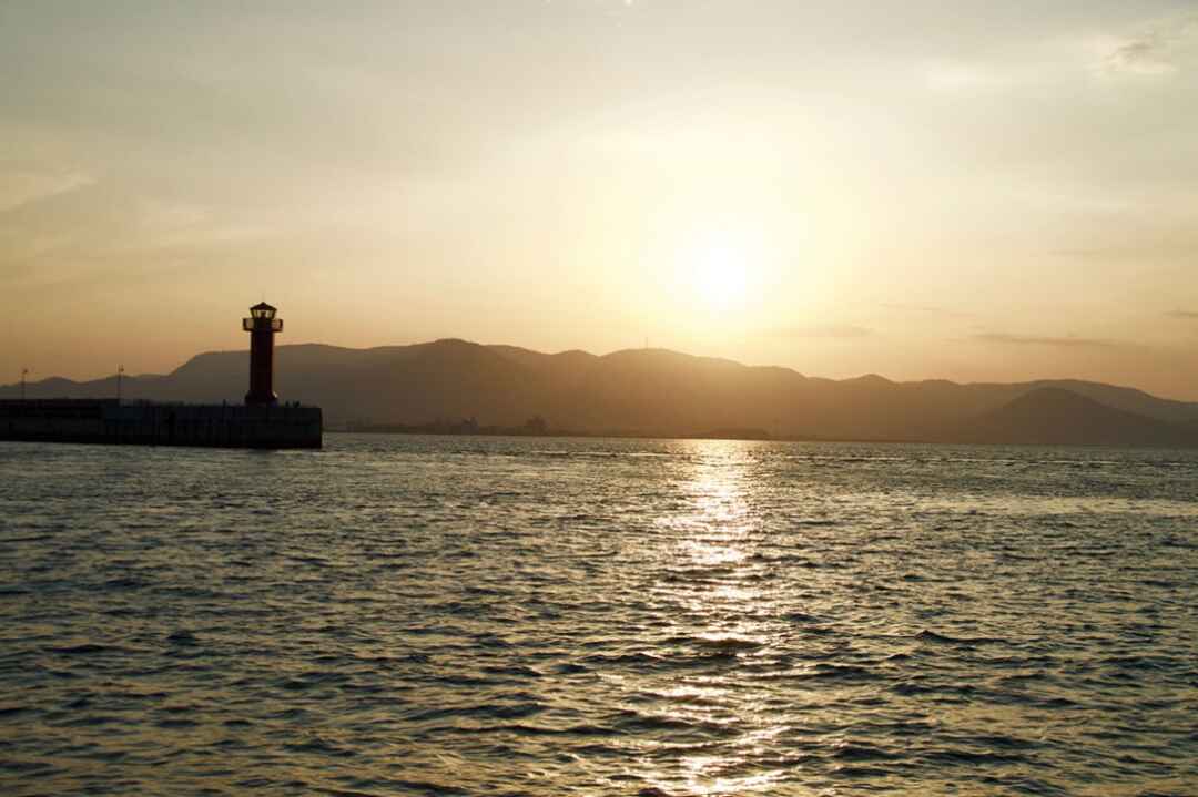 naoshima017