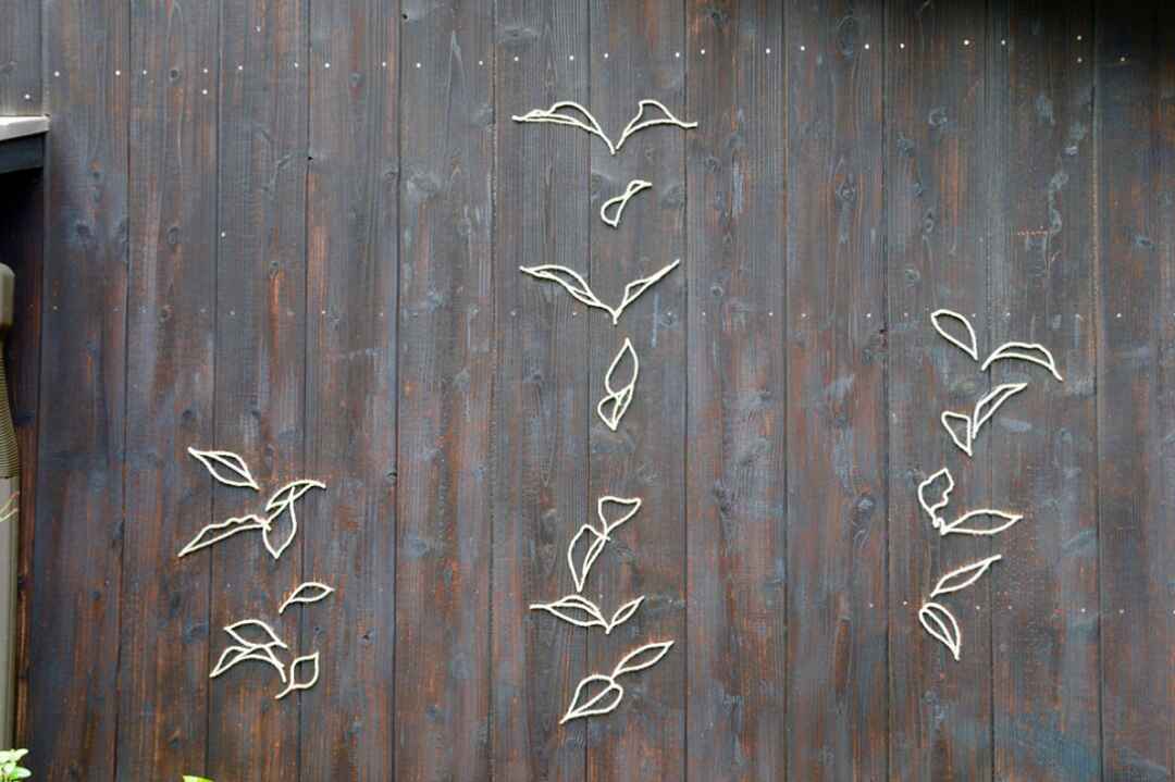 naoshima038