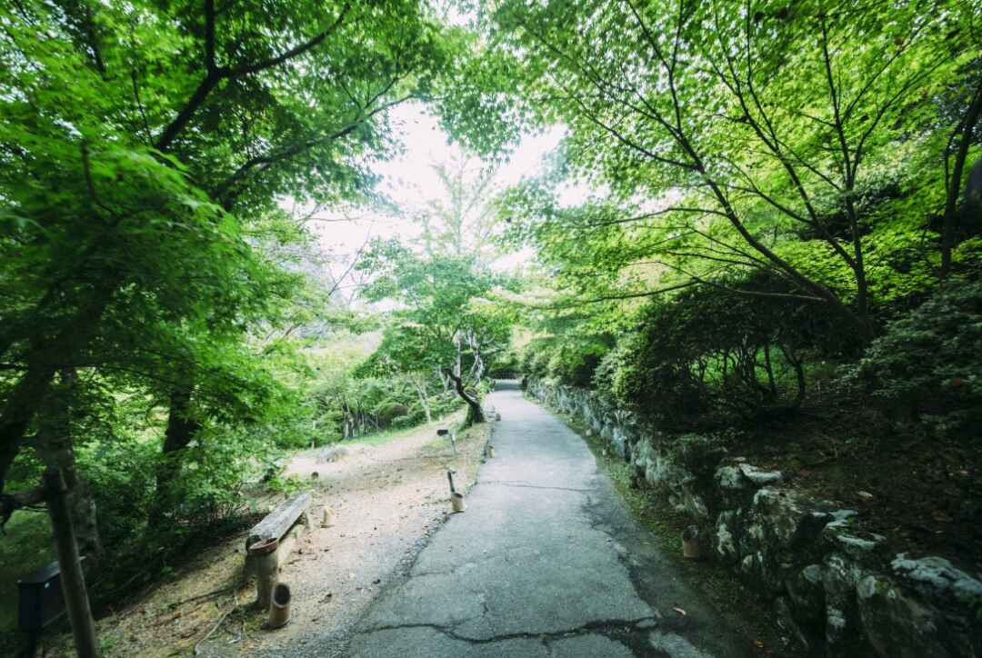 日本一 フォトジェニック 撮影スポットいっぱいの佐賀へ カメラ女子旅に行ってきた カメラガールズ