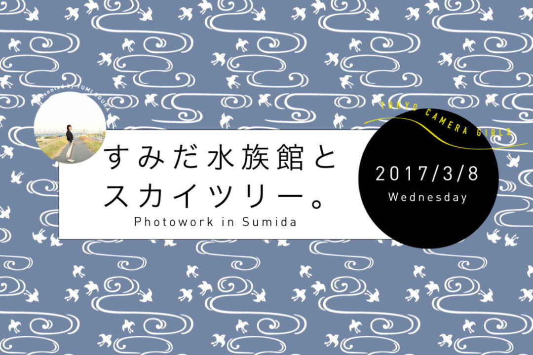 「すみだ水族館とスカイツリー」撮影会