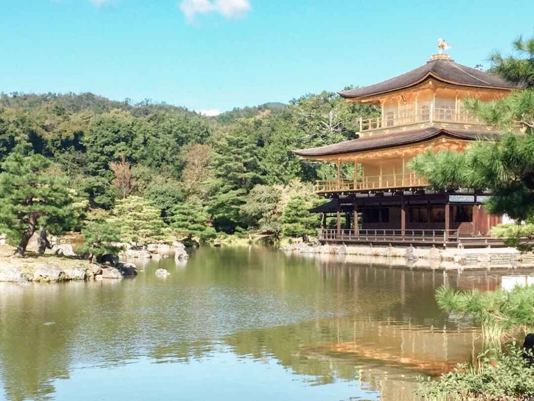 京都 京都旅の定番 金閣寺と清水寺周辺をまわる旅 Travel