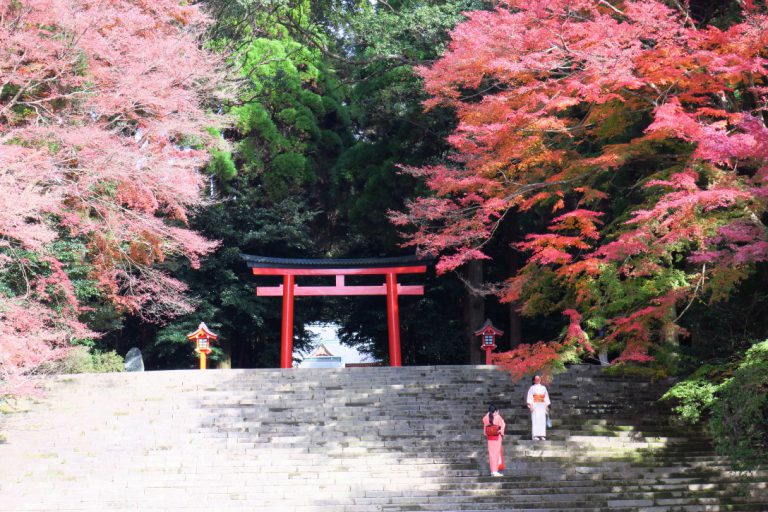7_紅葉(霧島神宮)