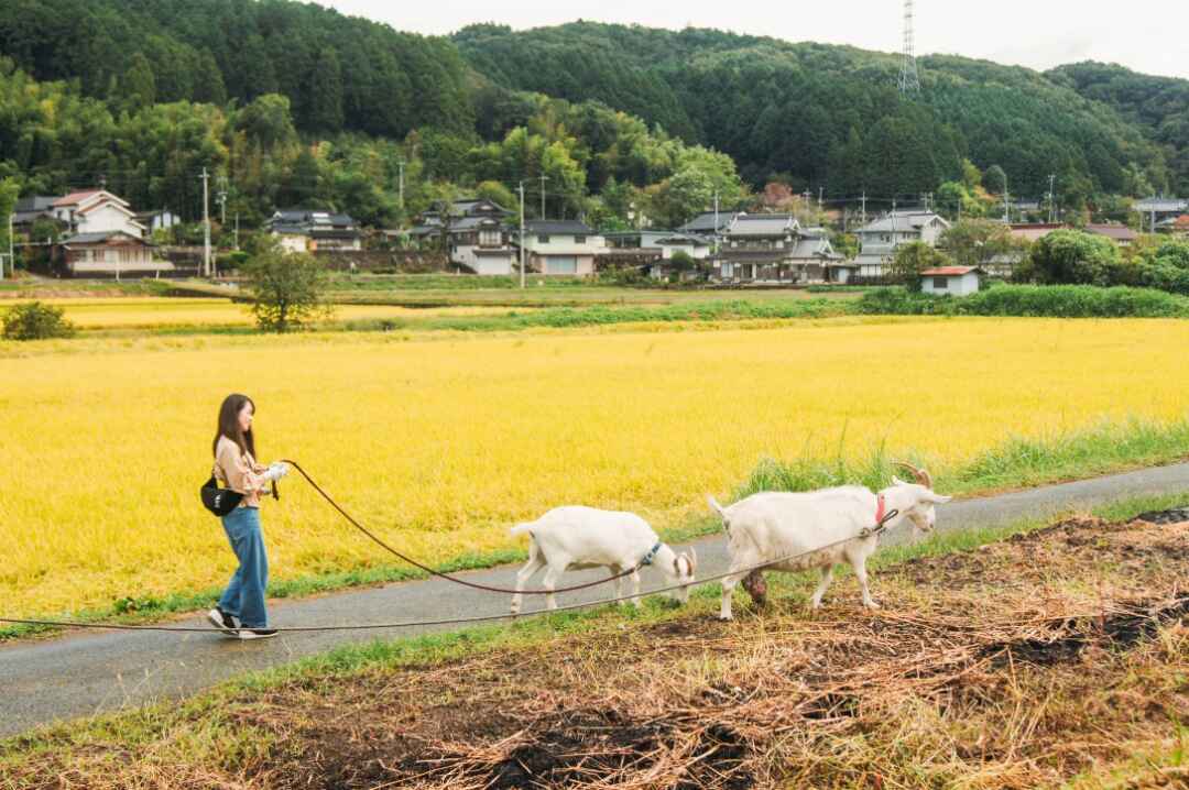 岡山県農村企画_24