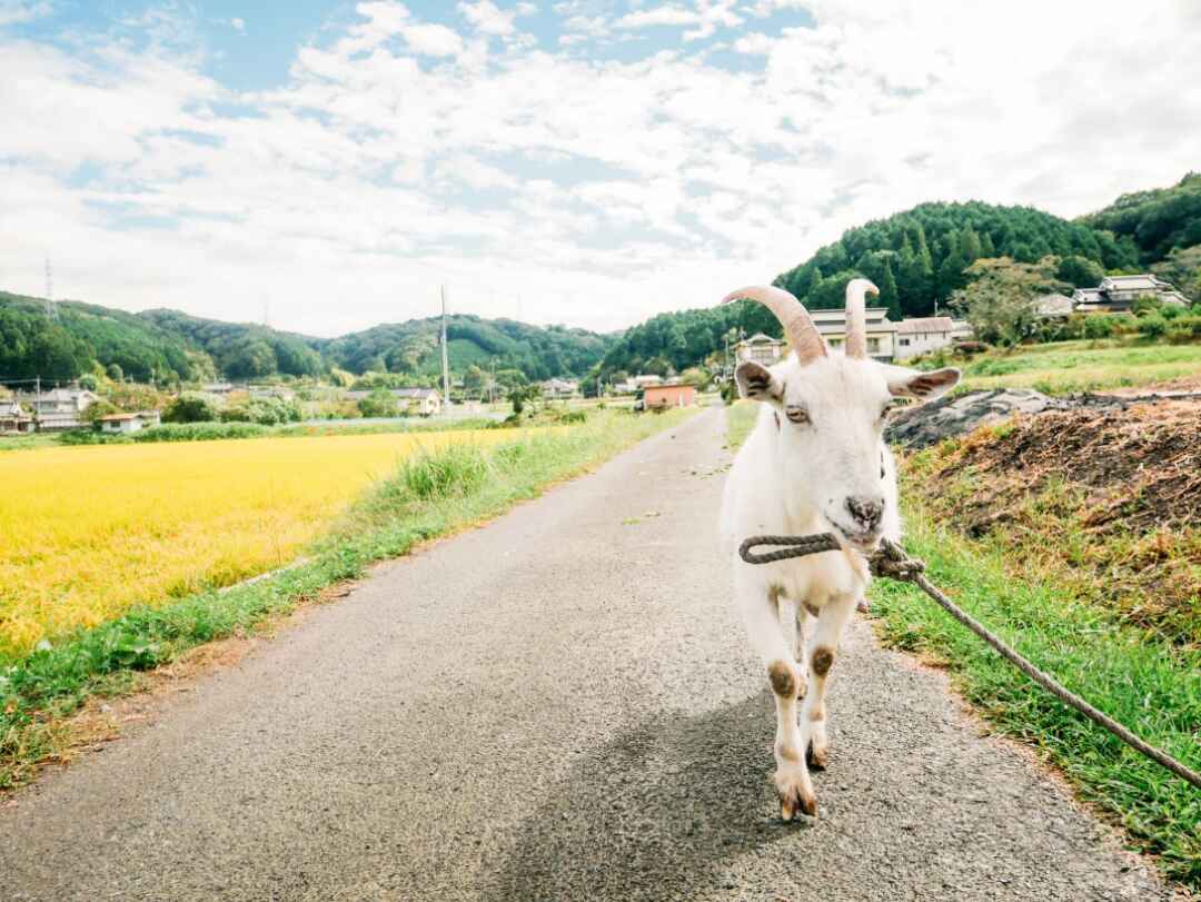 岡山県農村企画_58