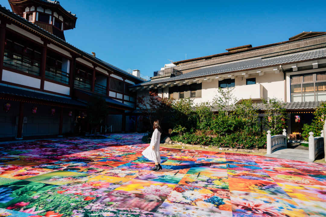蜷川実花のコラボ温泉？ 松山市のフォトスポット旅