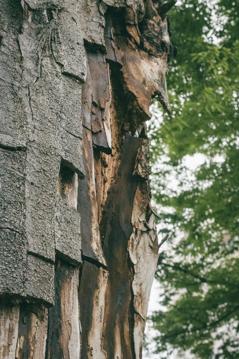 DSC_9182.jpg